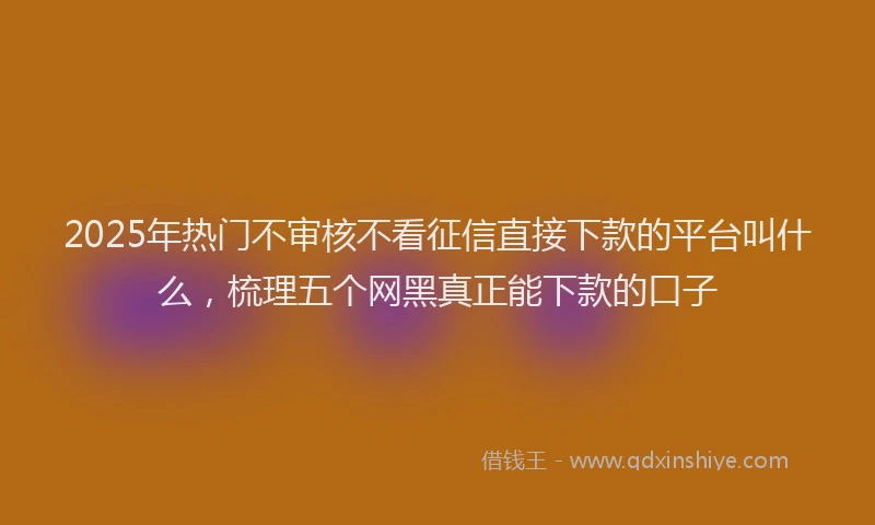 2025年热门不审核不看征信直接下款的平台叫什么，梳理五个网黑真正能下款的口子
