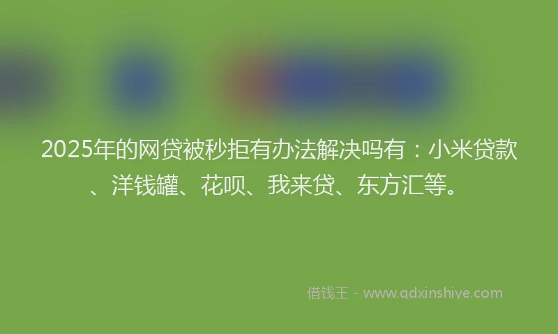 2025年的网贷被秒拒有办法解决吗有：小米贷款、洋钱罐、花呗、我来贷、东方汇等。
