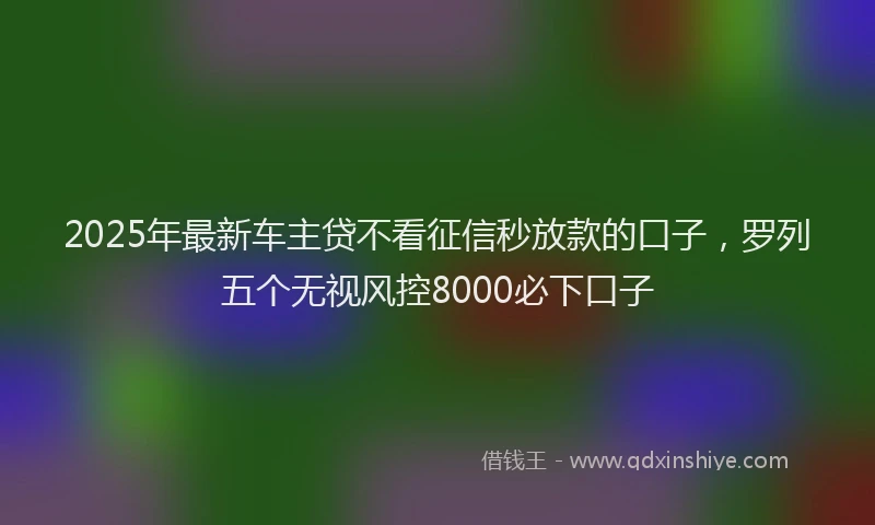 2025年最新车主贷不看征信秒放款的口子，罗列五个无视风控8000必下口子