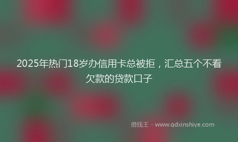 2025年热门18岁办信用卡总被拒，汇总五个不看欠款的贷款口子