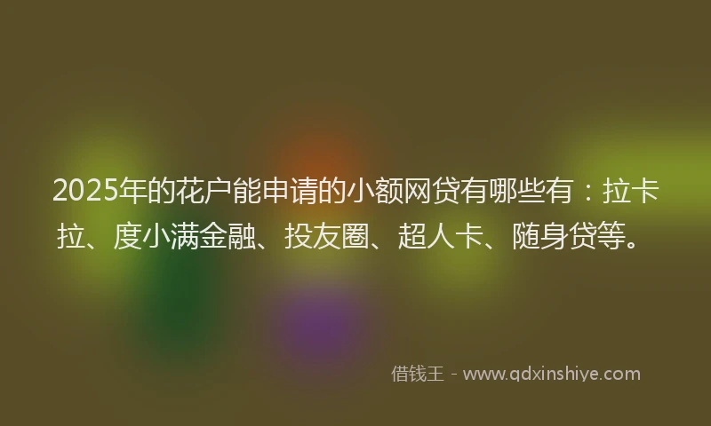 2025年的花户能申请的小额网贷有哪些有：拉卡拉、度小满金融、投友圈、超人卡、随身贷等。