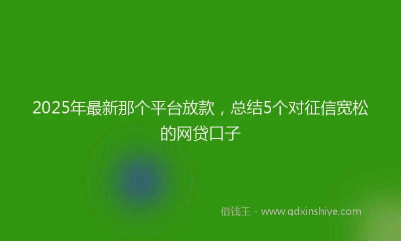 2025年最新那个平台放款，总结5个对征信宽松的网贷口子