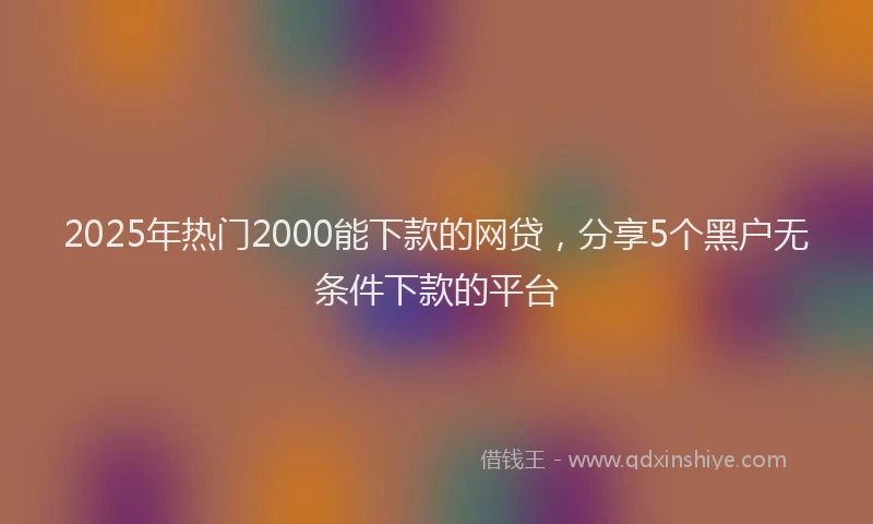 2025年热门2000能下款的网贷，分享5个黑户无条件下款的平台