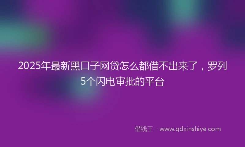 2025年最新黑口子网贷怎么都借不出来了，罗列5个闪电审批的平台
