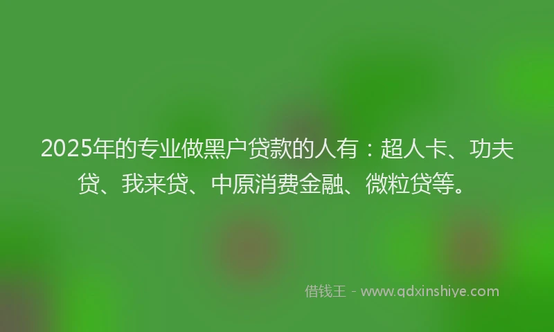 2025年的专业做黑户贷款的人有：超人卡、功夫贷、我来贷、中原消费金融、微粒贷等。