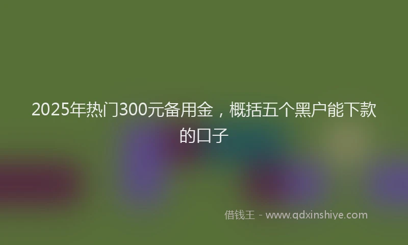 2025年热门300元备用金，概括五个黑户能下款的口子