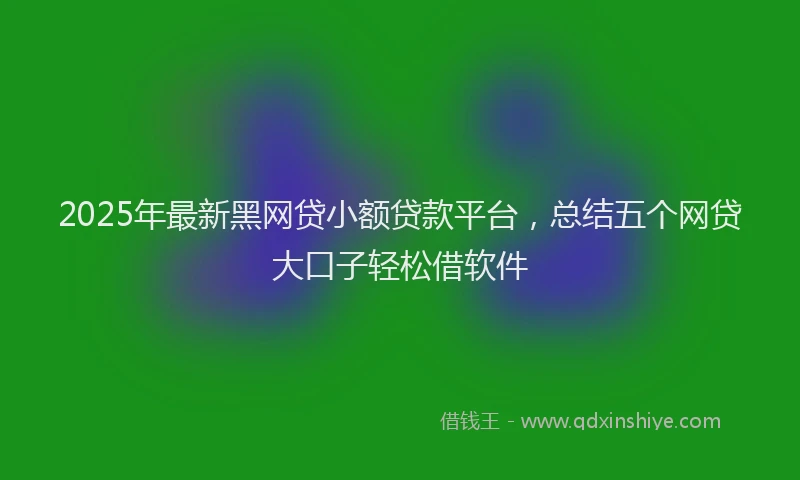 2025年最新黑网贷小额贷款平台，总结五个网贷大口子轻松借软件