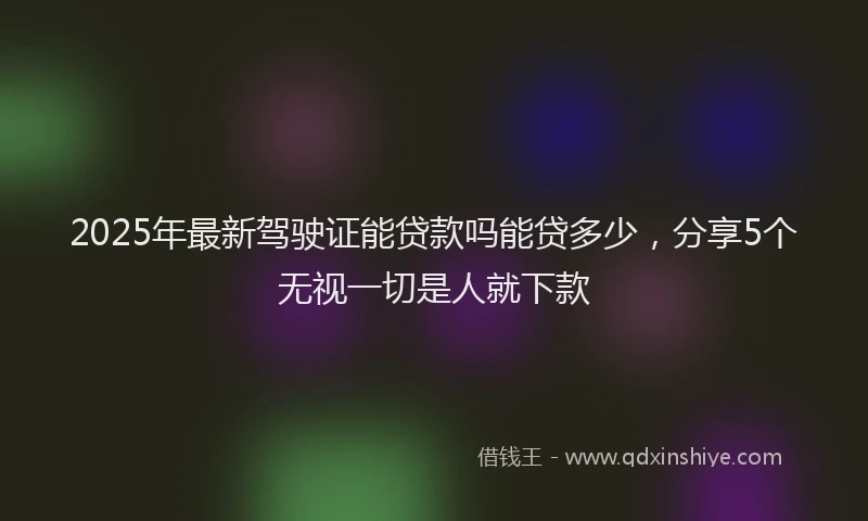 2025年最新驾驶证能贷款吗能贷多少，分享5个无视一切是人就下款