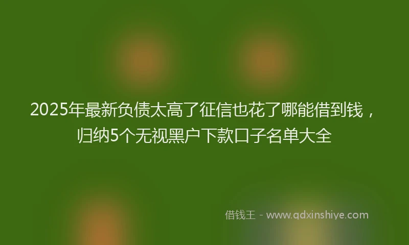 2025年最新负债太高了征信也花了哪能借到钱，归纳5个无视黑户下款口子名单大全