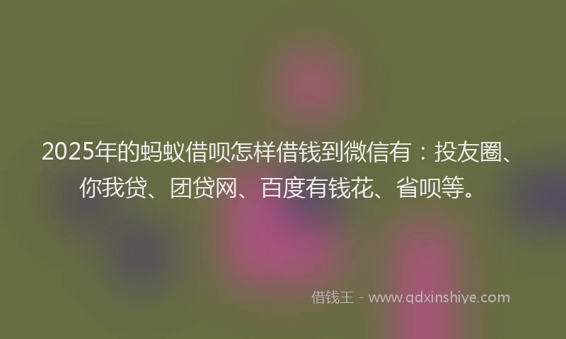 2025年的蚂蚁借呗怎样借钱到微信有：投友圈、你我贷、团贷网、百度有钱花、省呗等。