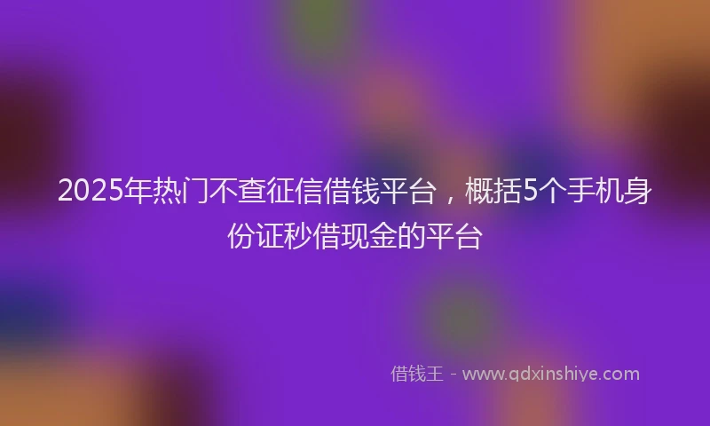 2025年热门不查征信借钱平台，概括5个手机身份证秒借现金的平台