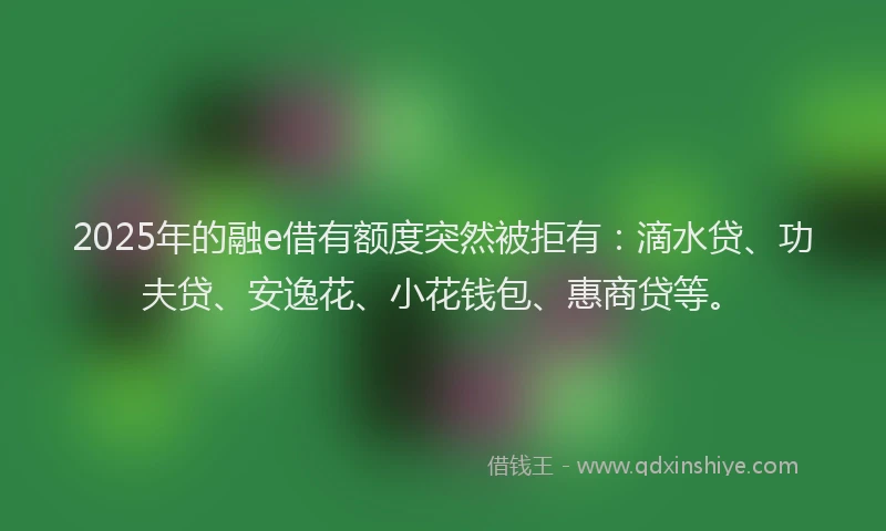 2025年的融e借有额度突然被拒有：滴水贷、功夫贷、安逸花、小花钱包、惠商贷等。