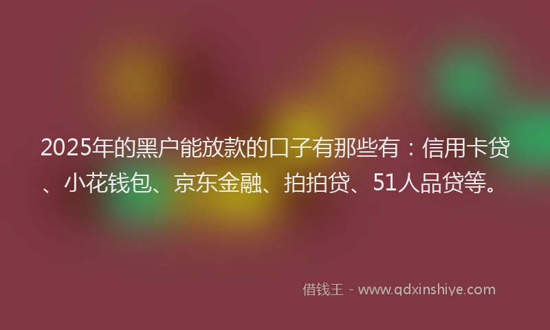 2025年的黑户能放款的口子有那些有：信用卡贷、小花钱包、京东金融、拍拍贷、51人品贷等。