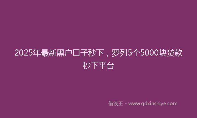 2025年最新黑户口子秒下，罗列5个5000块贷款秒下平台