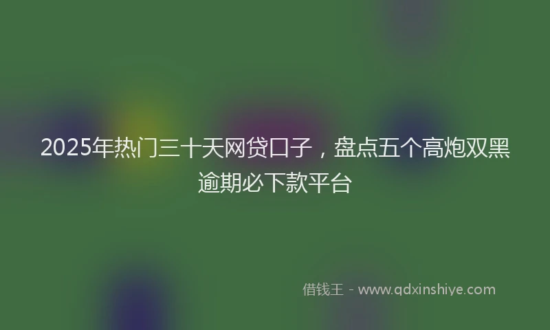 2025年热门三十天网贷口子，盘点五个高炮双黑逾期必下款平台