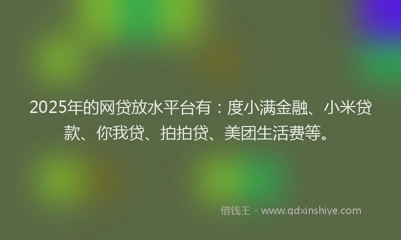2025年的网贷放水平台有：度小满金融、小米贷款、你我贷、拍拍贷、美团生活费等。