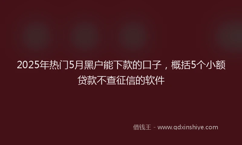 2025年热门5月黑户能下款的口子，概括5个小额贷款不查征信的软件