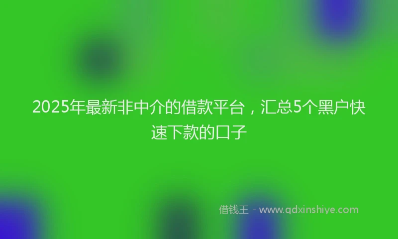 2025年最新非中介的借款平台，汇总5个黑户快速下款的口子