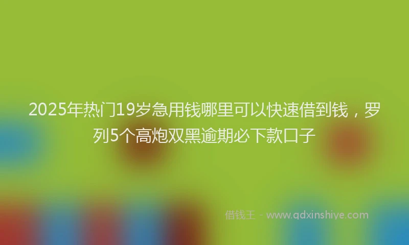 2025年热门19岁急用钱哪里可以快速借到钱，罗列5个高炮双黑逾期必下款口子