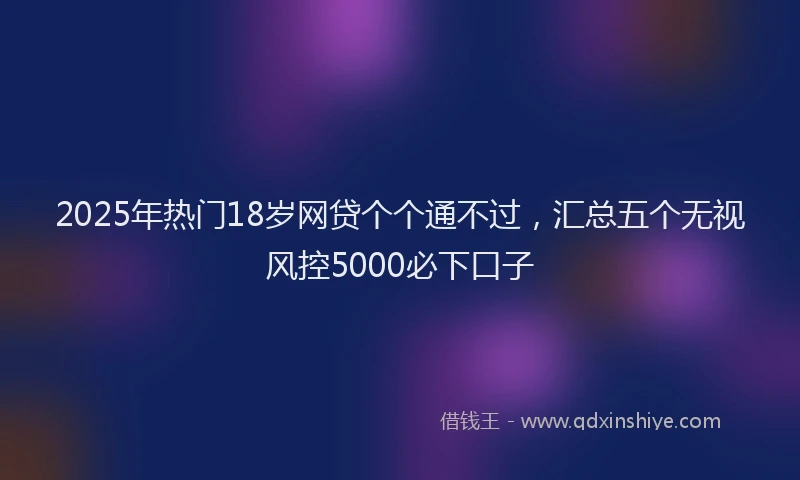 2025年热门18岁网贷个个通不过，汇总五个无视风控5000必下口子