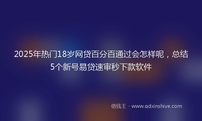 2025年热门18岁网贷百分百通过会怎样呢，总结5个新号易贷速审秒下款软件