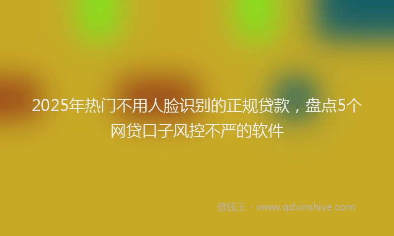 2025年热门不用人脸识别的正规贷款，盘点5个网贷口子风控不严的软件