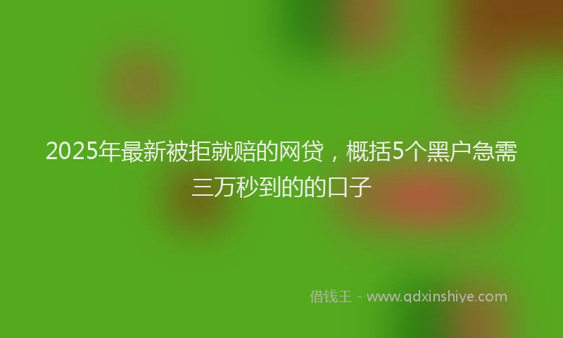 2025年最新被拒就赔的网贷，概括5个黑户急需三万秒到的的口子