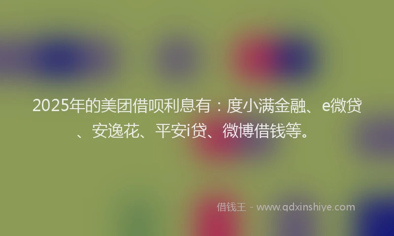 2025年的美团借呗利息有：度小满金融、e微贷、安逸花、平安i贷、微博借钱等。
