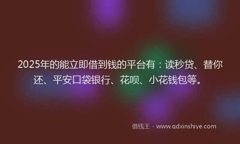 2025年的能立即借到钱的平台有：读秒贷、替你还、平安口袋银行、花呗、小花钱包等。