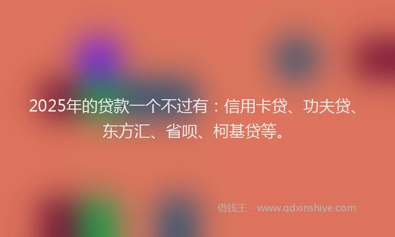 2025年的贷款一个不过有：信用卡贷、功夫贷、东方汇、省呗、柯基贷等。