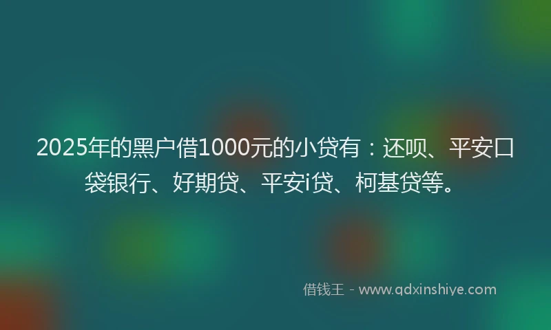 2025年的黑户借1000元的小贷有：还呗、平安口袋银行、好期贷、平安i贷、柯基贷等。