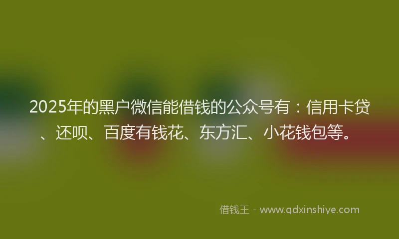 2025年的黑户微信能借钱的公众号有：信用卡贷、还呗、百度有钱花、东方汇、小花钱包等。