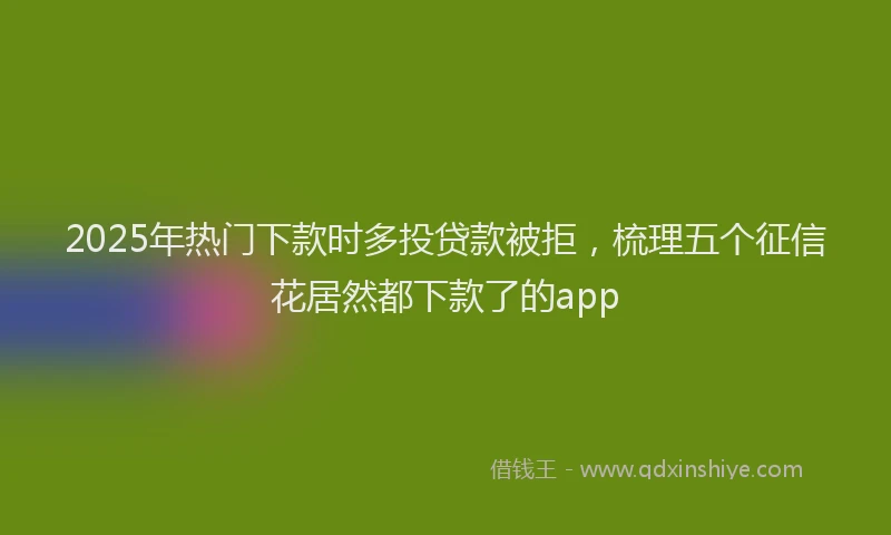 2025年热门下款时多投贷款被拒，梳理五个征信花居然都下款了的app