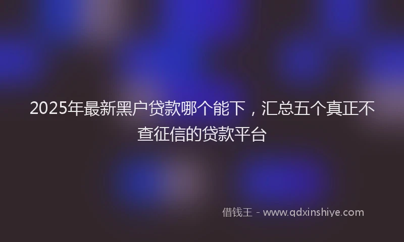 2025年最新黑户贷款哪个能下，汇总五个真正不查征信的贷款平台