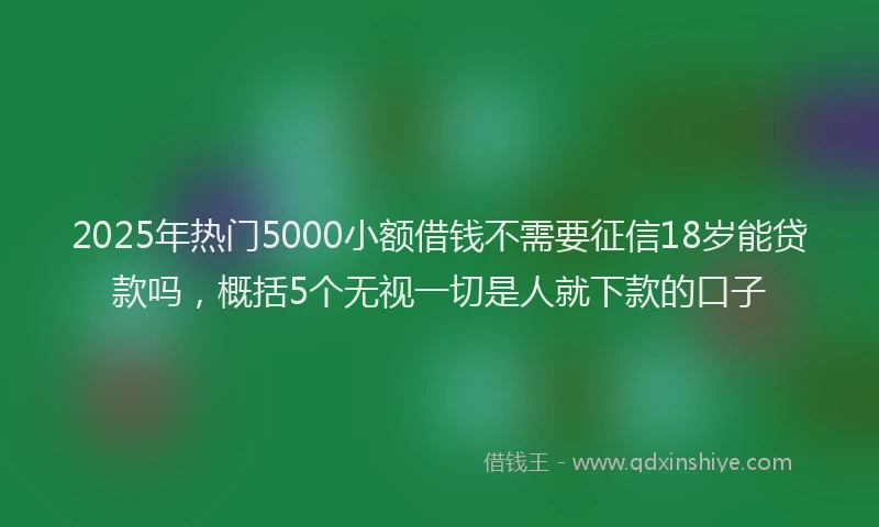 2025年热门5000小额借钱不需要征信18岁能贷款吗，概括5个无视一切是人就下款的口子