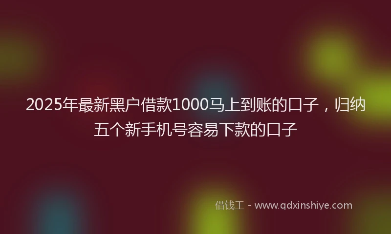 2025年最新黑户借款1000马上到账的口子，归纳五个新手机号容易下款的口子
