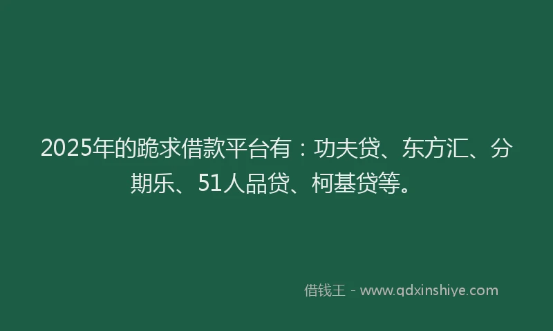 2025年的跪求借款平台有：功夫贷、东方汇、分期乐、51人品贷、柯基贷等。