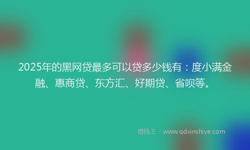 2025年的黑网贷最多可以贷多少钱有：度小满金融、惠商贷、东方汇、好期贷、省呗等。