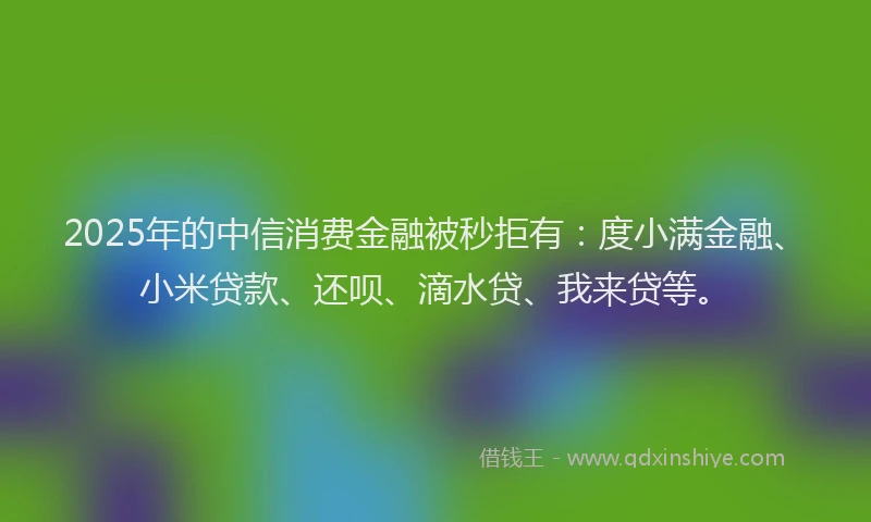 2025年的中信消费金融被秒拒有：度小满金融、小米贷款、还呗、滴水贷、我来贷等。
