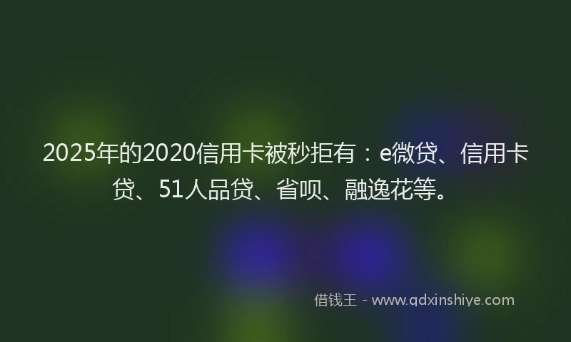 2025年的2020信用卡被秒拒有：e微贷、信用卡贷、51人品贷、省呗、融逸花等。
