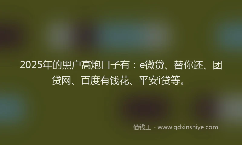 2025年的黑户高炮口子有：e微贷、替你还、团贷网、百度有钱花、平安i贷等。