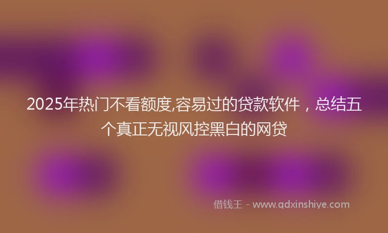 2025年热门不看额度,容易过的贷款软件，总结五个真正无视风控黑白的网贷