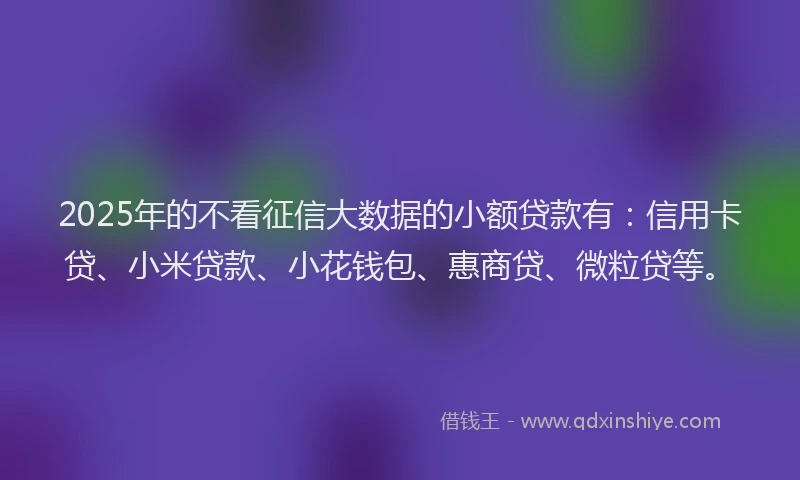 2025年的不看征信大数据的小额贷款有：信用卡贷、小米贷款、小花钱包、惠商贷、微粒贷等。