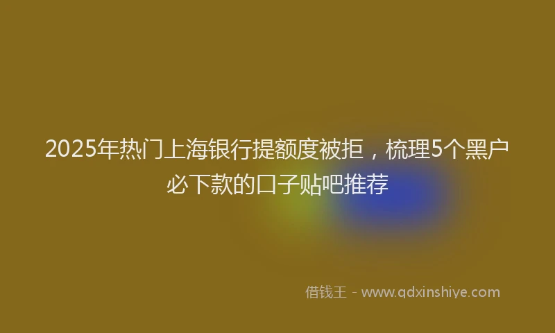 2025年热门上海银行提额度被拒，梳理5个黑户必下款的口子贴吧推荐