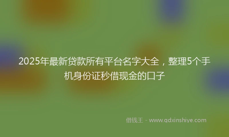 2025年最新贷款所有平台名字大全，整理5个手机身份证秒借现金的口子
