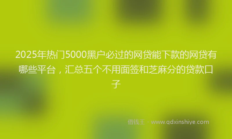 2025年热门5000黑户必过的网贷能下款的网贷有哪些平台，汇总五个不用面签和芝麻分的贷款口子