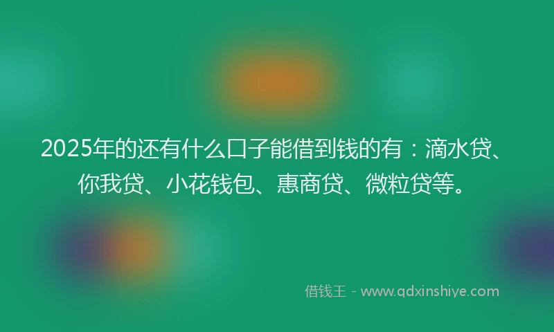 2025年的还有什么口子能借到钱的有：滴水贷、你我贷、小花钱包、惠商贷、微粒贷等。