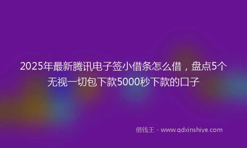 2025年最新腾讯电子签小借条怎么借，盘点5个无视一切包下款5000秒下款的口子