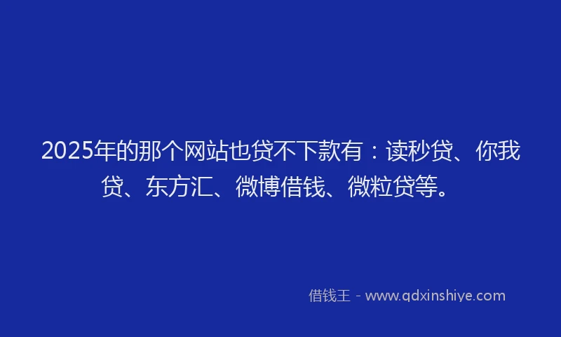 2025年的那个网站也贷不下款有：读秒贷、你我贷、东方汇、微博借钱、微粒贷等。