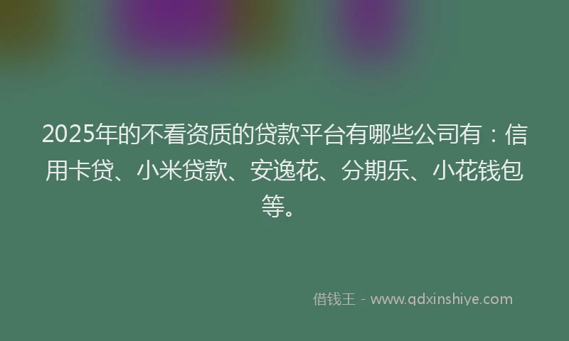 2025年的不看资质的贷款平台有哪些公司有：信用卡贷、小米贷款、安逸花、分期乐、小花钱包等。
